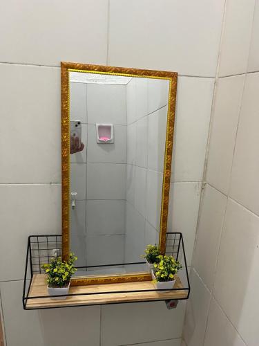 a mirror on a shelf in a bathroom with two plants at Casa Ezeah Tagum Staycation in Tagum