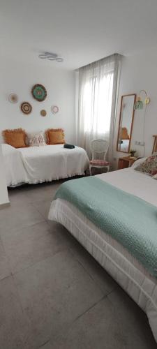 Cuype House Sevilla - B