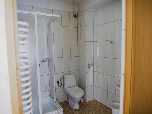 a bathroom with a toilet and a shower at Hotel Sowa in Częstochowa