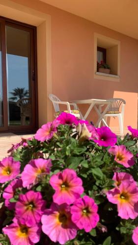 a bunch of pink flowers in front of a house at Stella Marina in Olbia