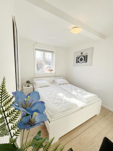 a white bedroom with a large white bed in it at Central Large Double Room with free parking in Aalborg