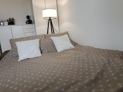 a bed with two pillows and a lamp in a bedroom at Veseli svet-Zvizdar,Ub in Ub