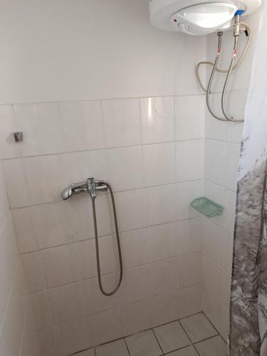 a shower with a shower head in a bathroom at Veseli svet-Zvizdar,Ub in Ub