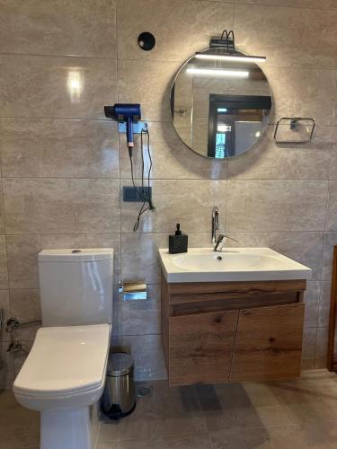 a bathroom with a toilet and a sink and a mirror at Ağaran Duru Konak Suit Bungalov in Rize