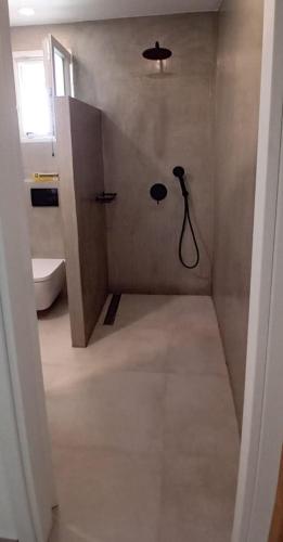 a bathroom with a shower with a toilet in it at Endless Blue Anesea House in Provatas