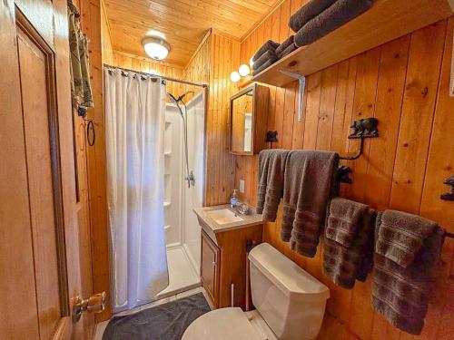 a small bathroom with a toilet and a shower at Bayside - Bouchard Shores Resort in Minocqua