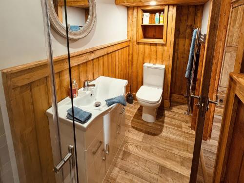 a bathroom with a sink and a toilet at Fisherman Lodge No 2 in Enniskillen