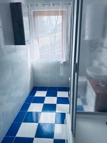 a bathroom with a shower and blue and white tiled floor at Ferienhaus am Reisberg in Reisberg
