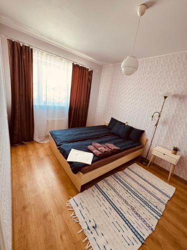 ein Schlafzimmer mit einem Bett, einem Teppich und einem Fenster in der Unterkunft Munamäe tänav 16-5 in Otepää