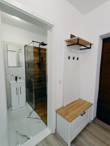 a bathroom with a glass shower and a sink at FLH - Apartament Central Silva in Sibiu
