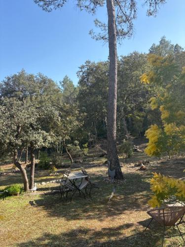 Jardí fora de Bastidon de Moon