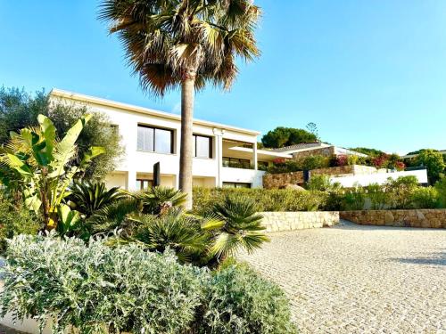 a house with a palm tree in front of it at Domaine LUMISTELLA in Porticcio