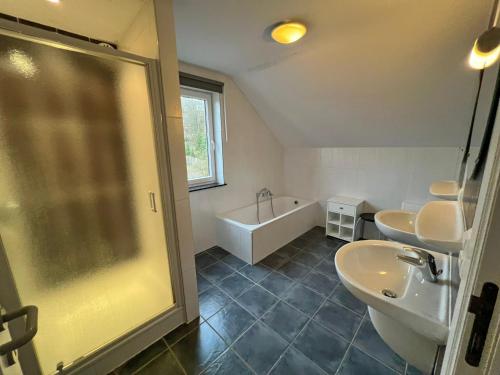 a bathroom with a shower and a sink and a tub at Villa Noach in Durbuy