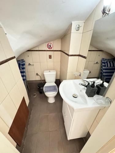 a small bathroom with a toilet and a sink at The Sea View kanali in Kanali