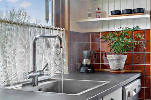 a kitchen with a sink and a plant on a counter at R607-Rodvig-Stevns-Thormodsvej-7 in Rødvig