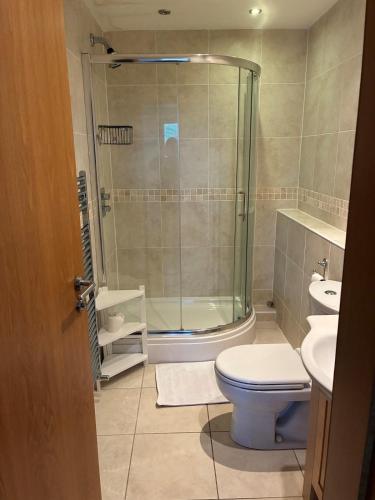 a bathroom with a shower and a toilet and a sink at Retreat in Cardiff