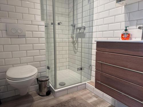 a bathroom with a toilet and a glass shower at Oland Whg 3 Bi de Meere in Wyk auf Föhr
