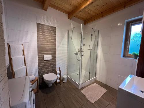a bathroom with a shower and a toilet at Borowikowe Zacisze drewniane domy z kominkami in Falsztyn