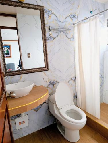 a bathroom with a toilet and a mirror at GRAN PUNO lNN in Puno