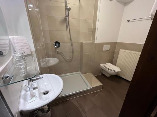 ein Badezimmer mit Waschbecken, Dusche und Toilette in der Unterkunft Hotel Weingärtner in Mannheim