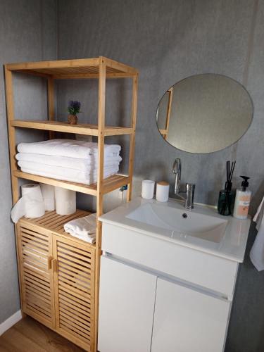 a bathroom with a sink and a mirror at בקתה 512- אירוח בדרום הגולן in Giv'at Yo'av