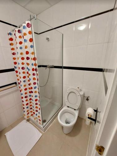 a bathroom with a shower and a toilet at Albergue Los Templarios in Terradillos de Templarios