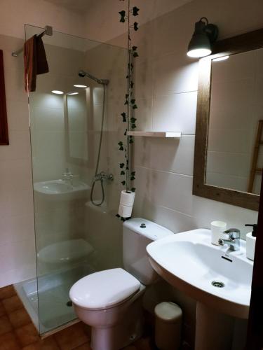 a bathroom with a toilet and a sink and a shower at Residence Can Confort Formentera in Sant Francesc Xavier