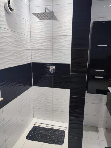 a shower with a glass door with a drain at Haus Katja in Büdelsdorf