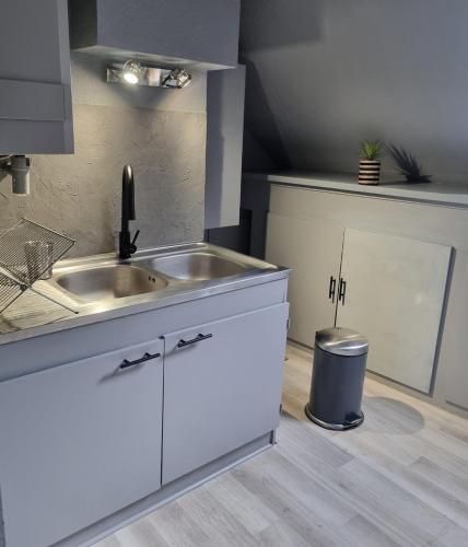 a white kitchen with a sink and a trash can at Bel appartement hyper centre in Sélestat