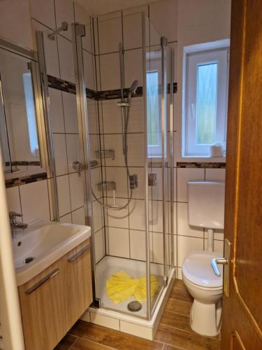 a bathroom with a shower and a toilet and a sink at Ferien- und Reiterhof Ochsenkopf in Missen-Wilhams