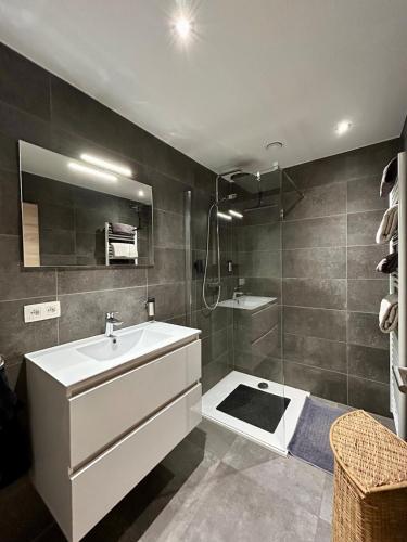 a bathroom with a white sink and a shower at Appartement de Standing Plein Centre-Ville "L Atelier de Joss" in Bastogne