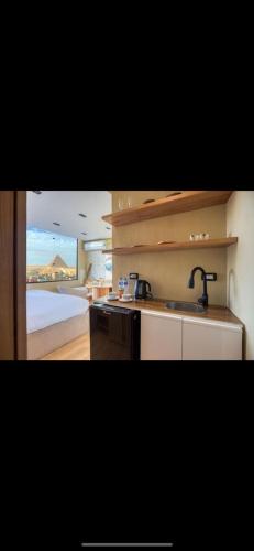 Grand Sphinx and Pyramids View Hotel