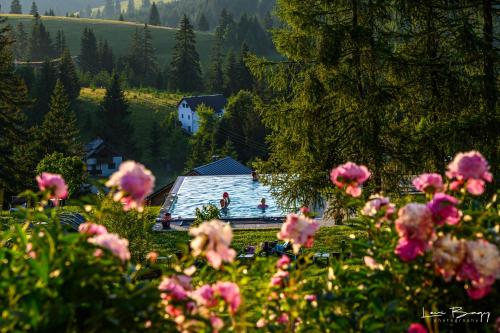 a house with a swimming pool in a field of flowers at Tihuta Chalet in Piatra Fantanele