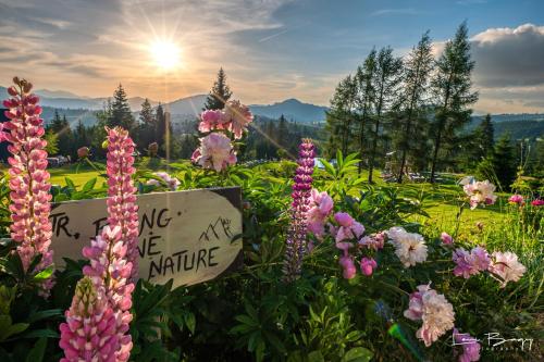 a field of flowers with a sign in the middle at Tihuta Chalet in Piatra Fantanele
