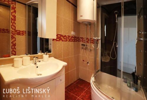 a bathroom with a sink and a shower at Apartman Pod Vysokymi Tatrami in Nová Lesná