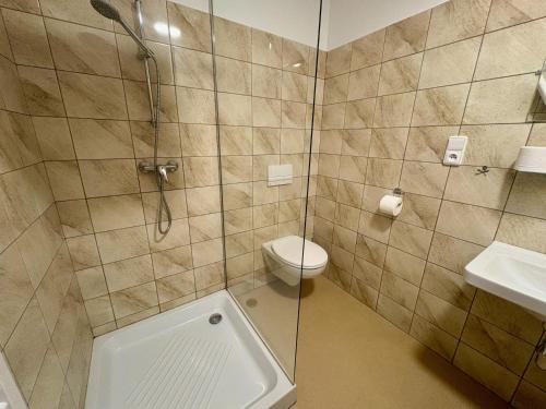 a bathroom with a shower and a toilet and a sink at Bendovský dvůr in Dušníky