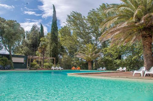 a swimming pool with chairs and palm trees at Camping la Peiriere - Lodge en Pays Cathare in Tuchan