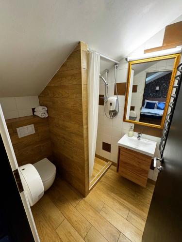 a bathroom with a toilet and a sink at Apple Economy Hotel in Kaunas