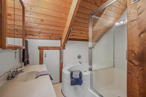 a bathroom with a tub and a sink and a shower at Lazy Bear Retreat - Wifi, Pet Friendly, Grill, Fire Pit, Fireplace, Deck, Golf, Hiking in Morton Grove