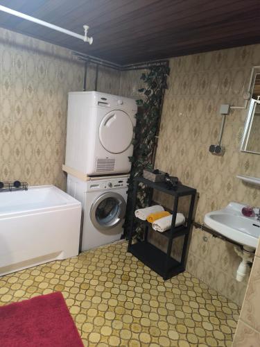 a small bathroom with a washing machine and a sink at Ferienwohnung Viktoria in Ehrlich
