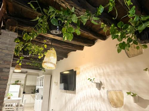 a room with some plants hanging from the ceiling at Kalma - at the picturesque Via Stretta in Cagliari