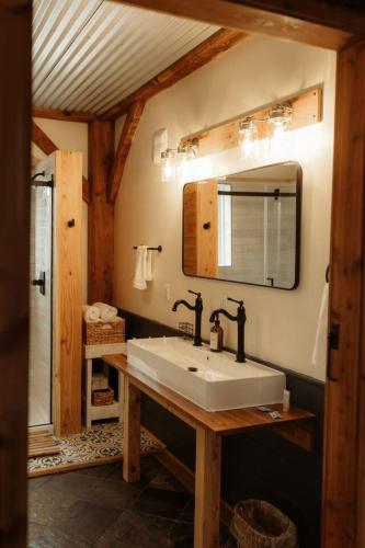 a bathroom with a sink and a mirror at Fawn Crest -Timber Frame Retreat, Firepit, 20 acre in Alfred Station