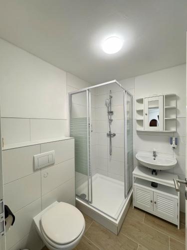 a bathroom with a shower and a toilet and a sink at Asiatisches Ferienhaus in Merseburg