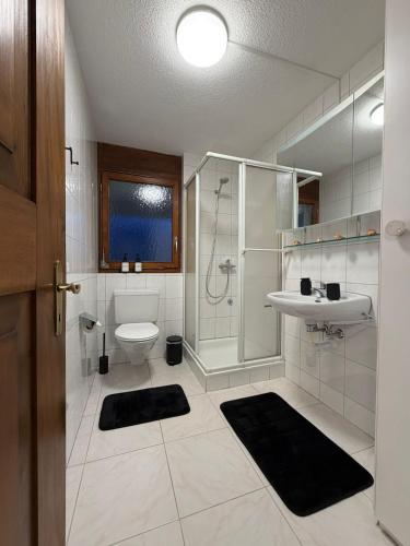 a bathroom with a shower and a toilet and a sink at Studio Lakeview in Ennetbürgen