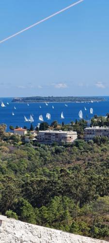 Vue imprenable sur baie de Cannes et Estérel