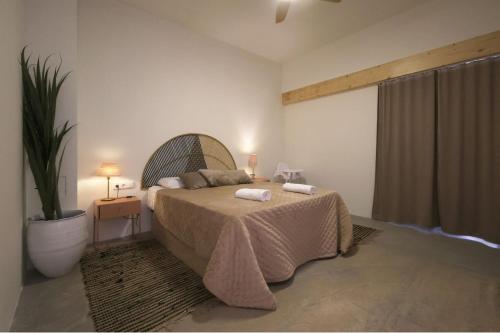 PepeFlats - The best Mediterranean flat and terrace 2