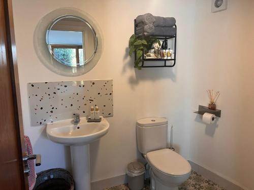 a bathroom with a sink and a toilet and a mirror at Jackie's Place in Wexford