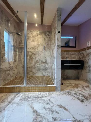 a bathroom with a walk in shower and a walk in shower at RosaVilla in Wilhelmshaven