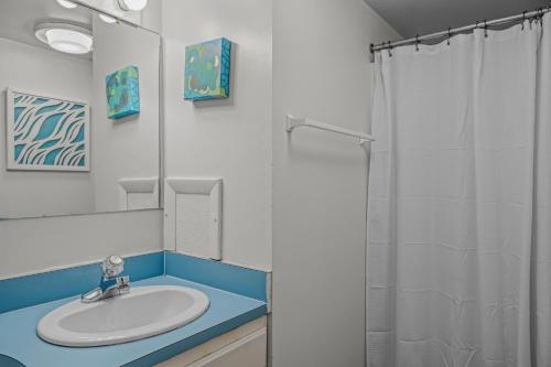 a bathroom with a sink and a shower at Serendipity -- Hot Tub - Pet Friendly - Fire Pit - Grill - Porch - Deck - Wifi - Pool Access - Games in Berkeley Springs
