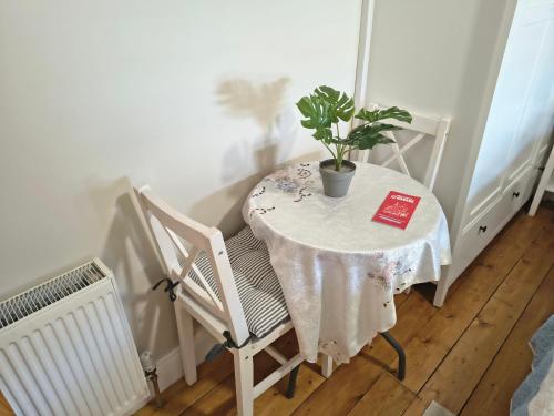 a small table with a potted plant on it at Comfy Bedroom and Private Bathroom on the Top Floor of a Home Stay -10 mins walk to the center - Off street parking in Cork